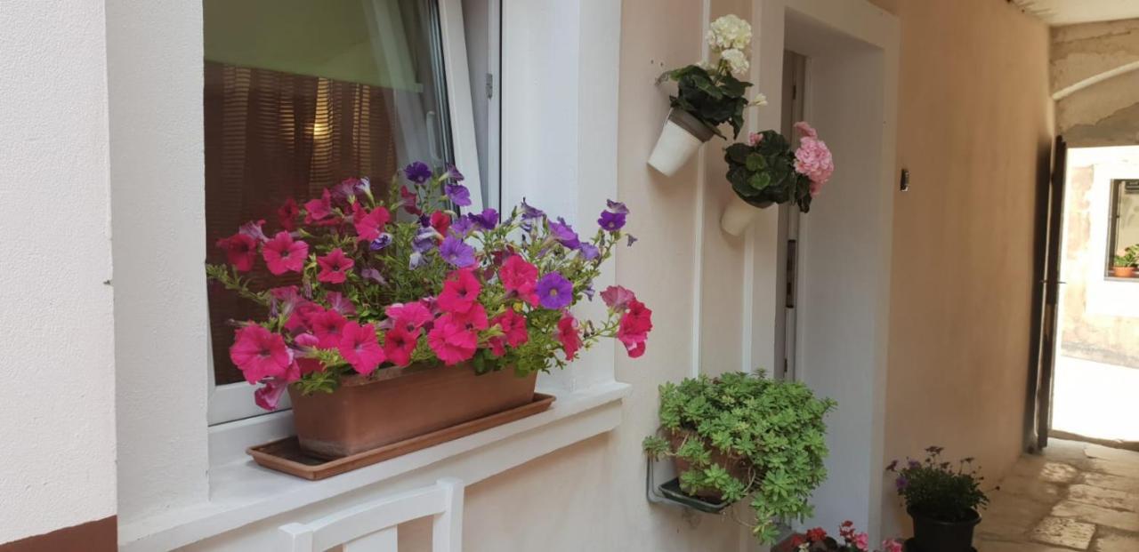 Apartment Asja Old City Center พูลา ภายนอก รูปภาพ